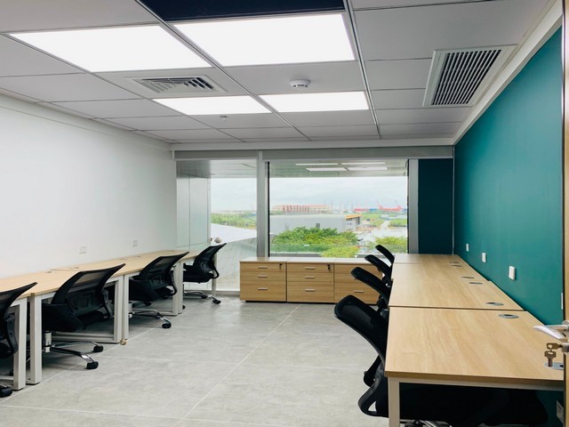 无动物源性Wnt-5重组蛋白