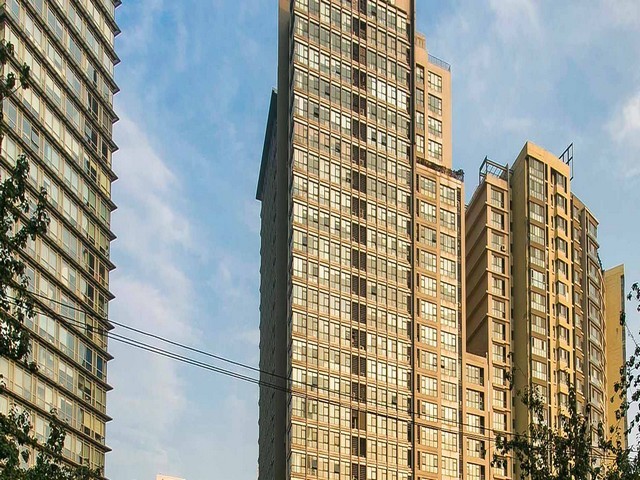 孝陵卫附近宠物绝育