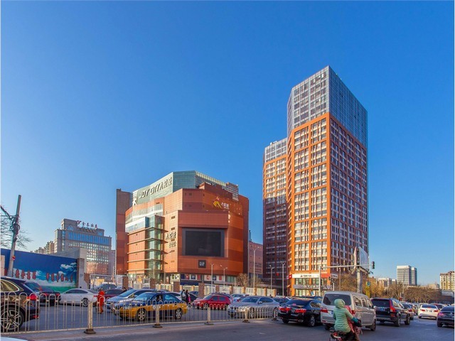 山东康禾健正当年医药白番茄批发商